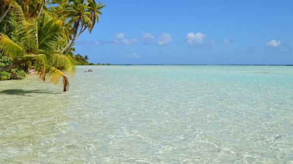 Comment organiser une expédition de ski de randonnée dans les Alpes suisses : équipements et conseils pratiques ?