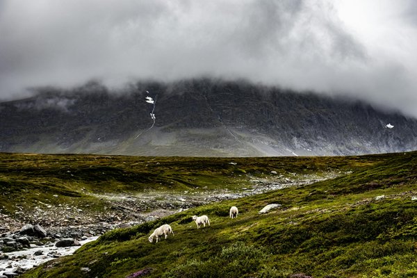 Quels sont les meilleurs itinéraires pour une croisière sur le Douro, Portugal?